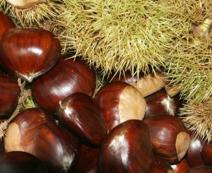 Chestnuts02